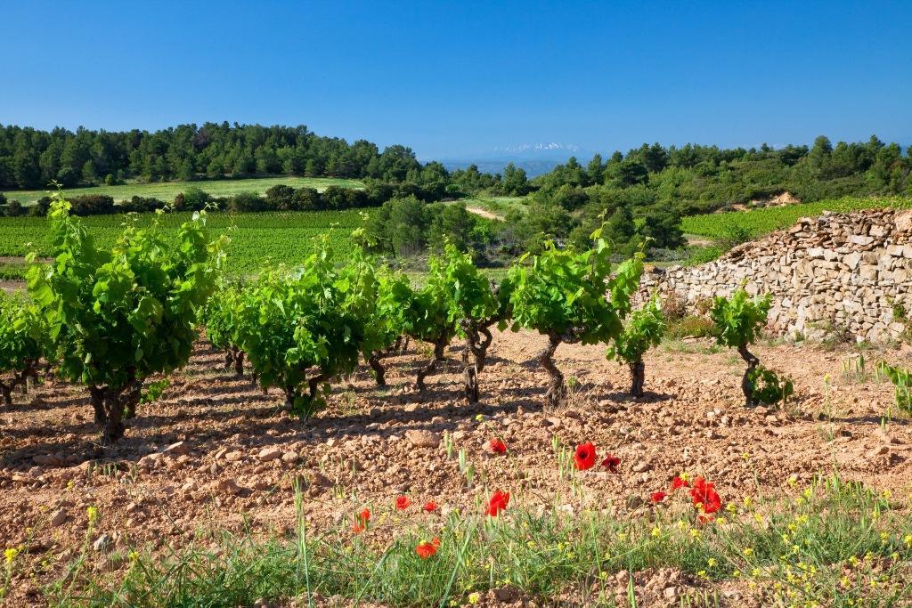 Logis Hotel - Restaurant La Marbrerie Caunes-Minervois Exterior photo